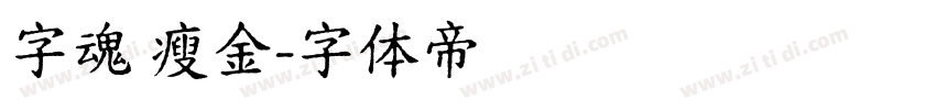 字魂 瘦金字体转换